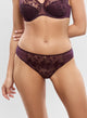 Tess Amethyst Brief