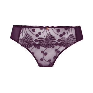 Tess Amethyst Brief