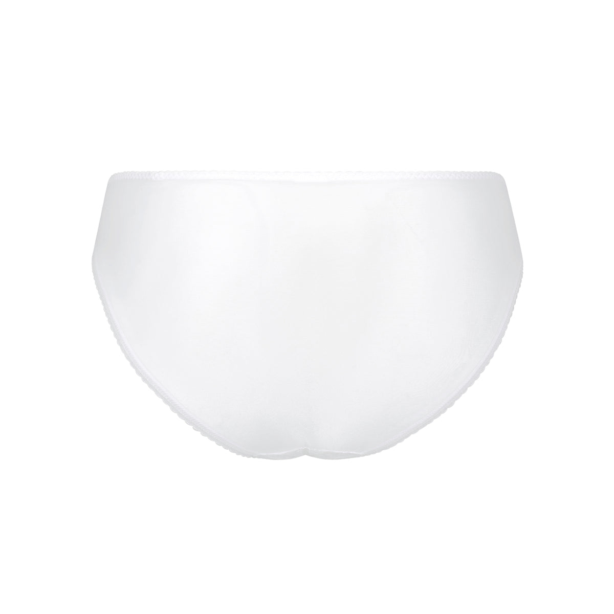 Charlotte White Brief