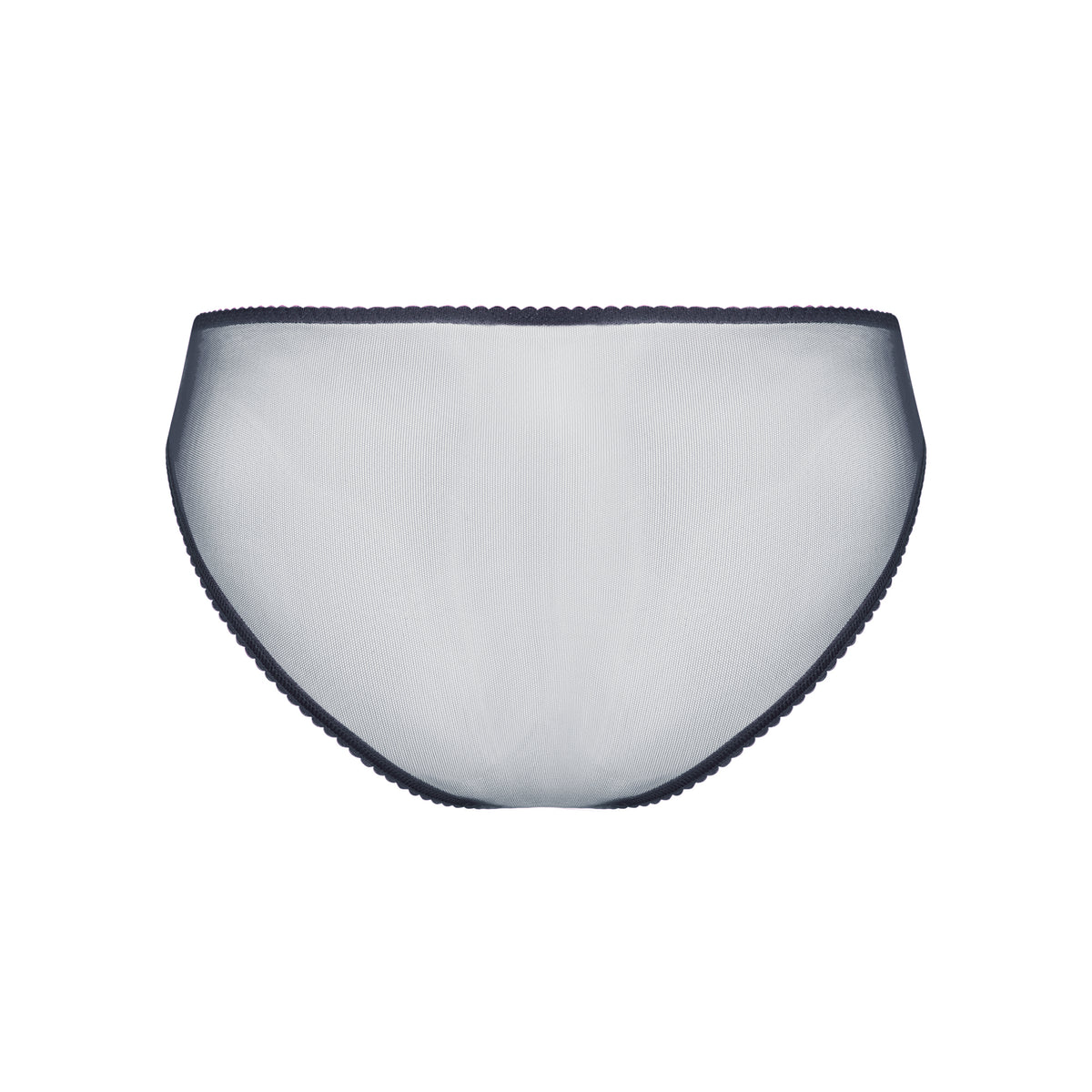 Charlotte Anthracite Brief