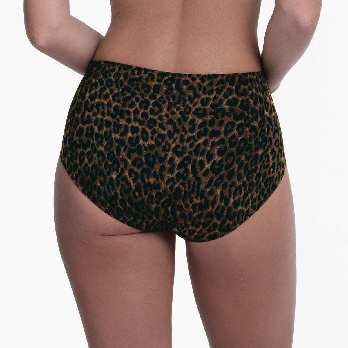 Liz Gold Cat High Waist Brief