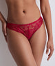 Vibes Love Potion Italian Brief