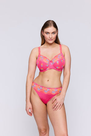 Cala Luna Blogger Pink Briefs