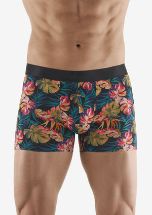 Boxer Paradise Flower