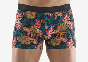 Boxer Paradise Flower