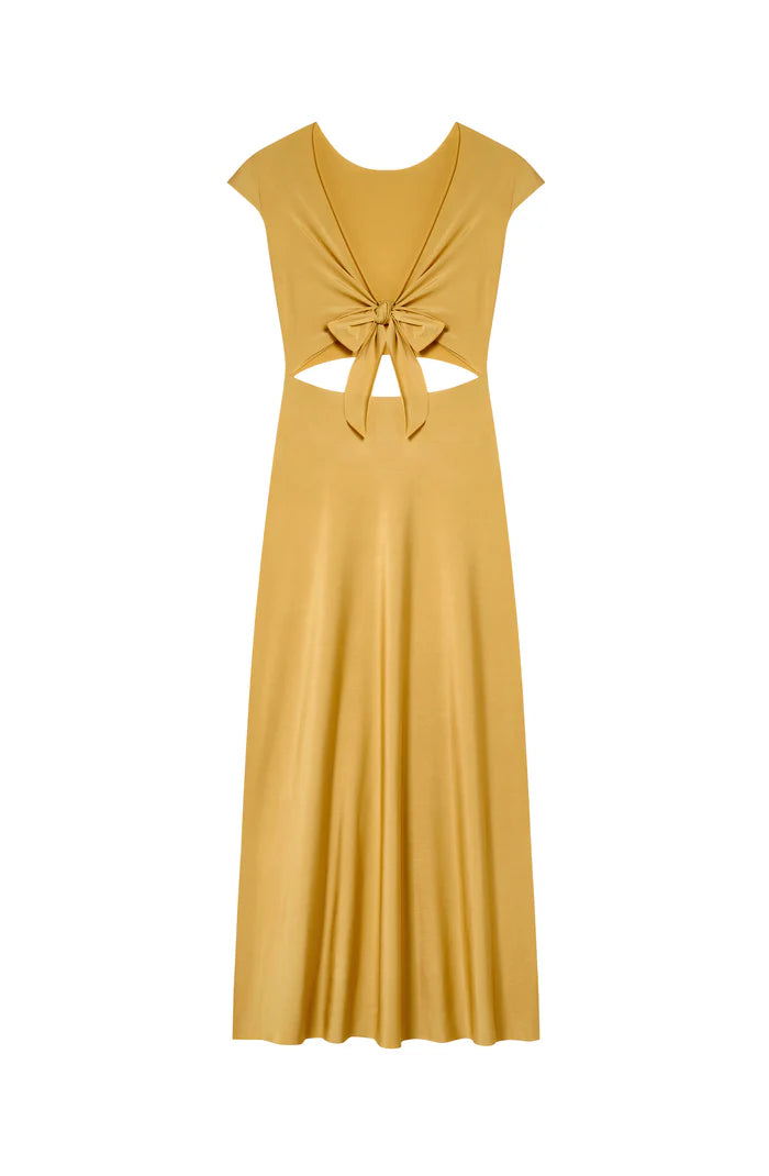 Lil Gold Dress
