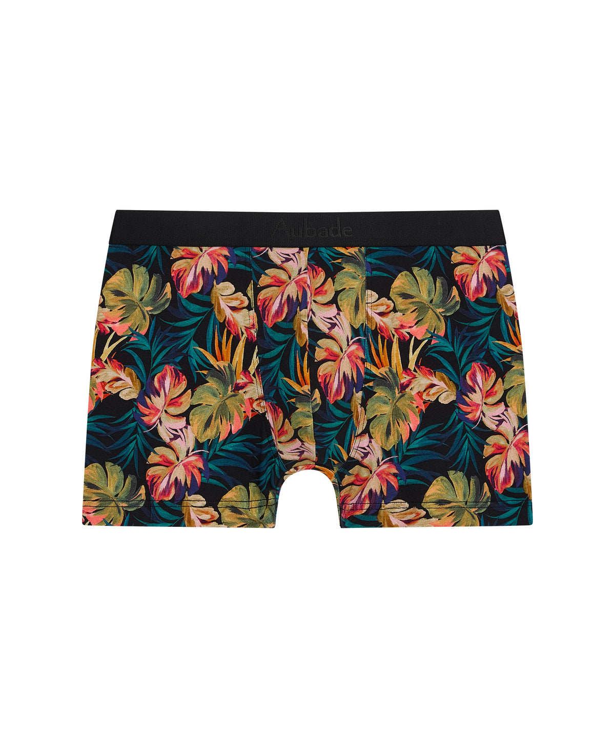Boxer Paradise Flower