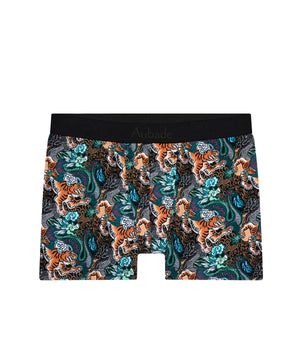Boxer Tiger and Dragon